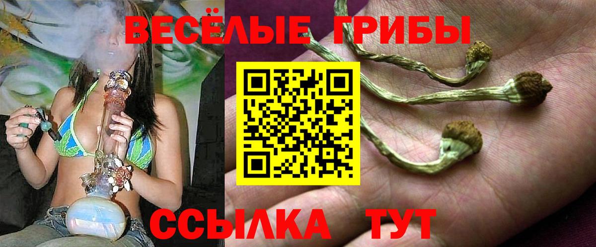 Галлюциногенные грибы Cubensis  Галлюциногенные грибы Psilocybe  Сухой Лог  Вход с VPN 